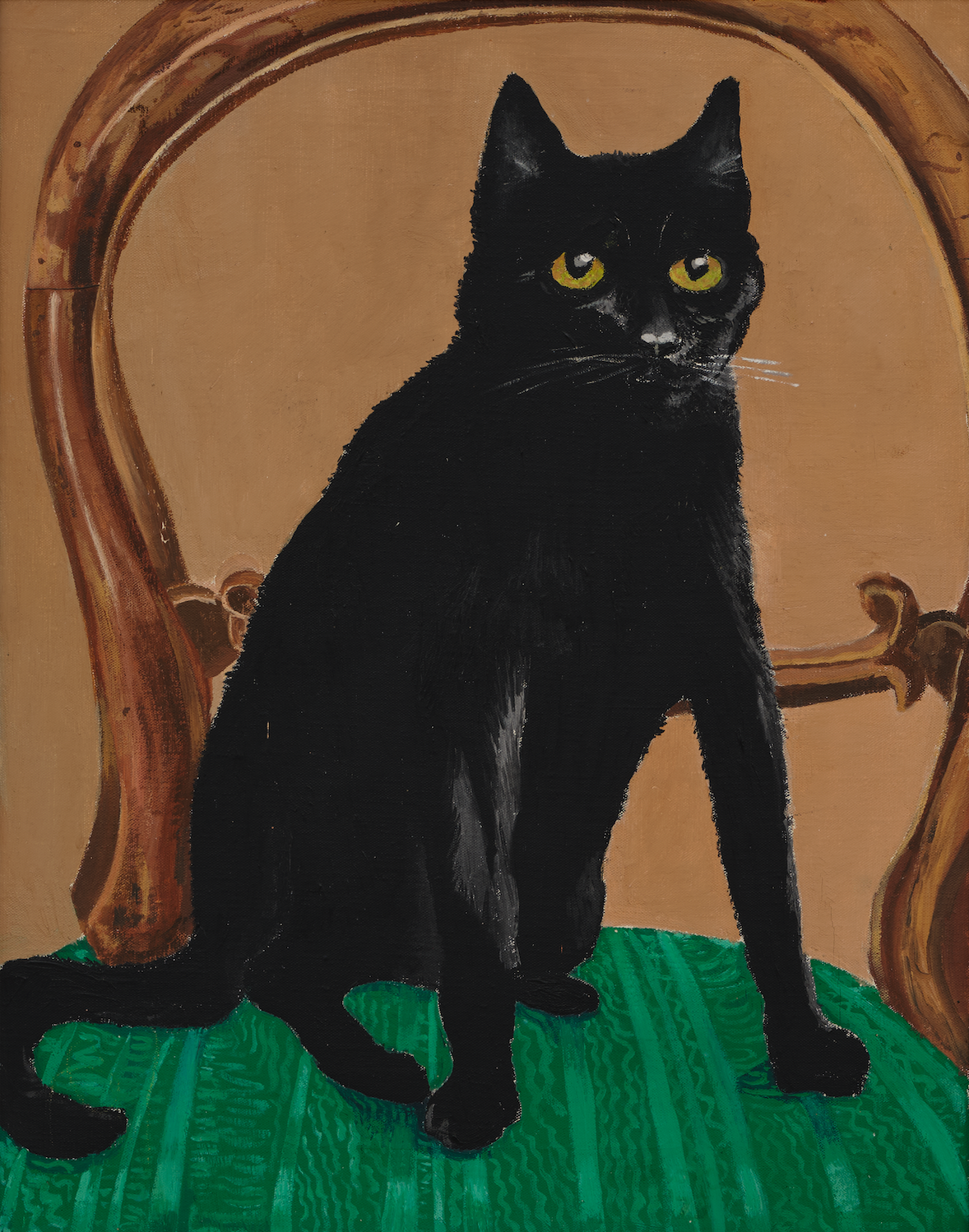 Black cat sitting on a Victorian balloon back chair with a green upholstered padded cushion and a wooden frame against a plain orange wall